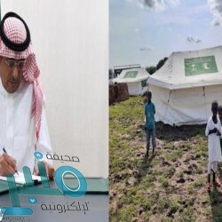 شاهد.. لحظة اعتراض وتدمير طائرتين حوثيتين أُطلقتا باتجاه المملكة