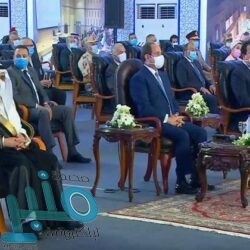 “المرور” يوضح شروط نقل اللوحات بين مركبتين لمالك واحد