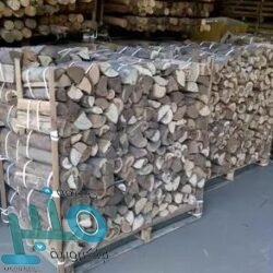 “النقل” : 5000 ريال غرامة توجيه المركبة لنقل بضائع ممنوعة