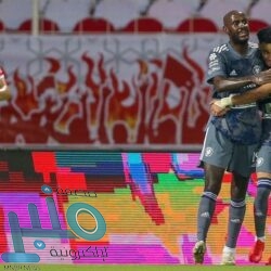 قمة مجموعة الفكر (T20) تنعقد غدًا لرفع البيان الختامي لقادة دول العشرين