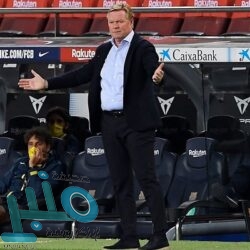 5 علاجات منزلية للتغلب على فطريات الجلد