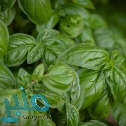 اختراع أذن إلكترونية للروبوتات تشبه الآذان البشرية