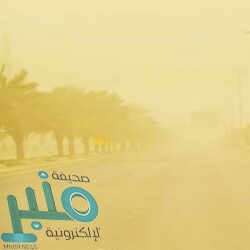 أمير عسير يرعى ورشة عمل حول تحسين المشهد الحضري