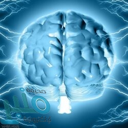 شركة مجموعة سدر للتجارة والمقاولات توفر 32 وظيفة لحملة الثانوية فما فوق