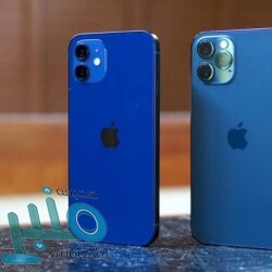 اكتشاف طريقة لبرمجة المخ والتحكم في تفضيلاته للطعام