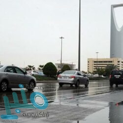 ضبط 300 كيلو جرام من اللحوم الفاسدة في الدمام