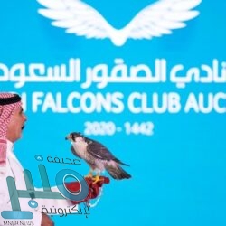 الأرصاد: أمطار رعدية تسبق برياح نشطة على 6 مناطق