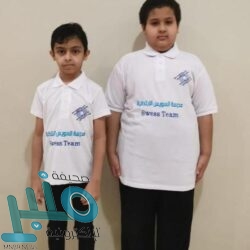 نقل وثائق واختصاصات وميزانيات الهيئة العامة للثقافة إلى الوزارة