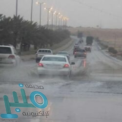 مدير مكتب وزارة البيئة في العرضيات يجتمع بالنحالين