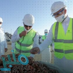 بعد أنباء اللقاح .. الأسواق العالمية تلمع والذهب يفقد بريقه