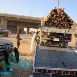 الأمير مشعل بن ماجد يكشف الحالة الصحية لمصابي حادثة جدة