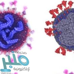 “حساب المواطن” يعلن بدء إيداع الدعم المخصص لشهر نوفمبر