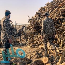 وزير الصحة: خصصنا نصف مليار دولار لدعم جهود البحث عن لقاح لكورونا