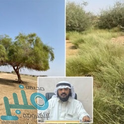 وظائف شاغرة بالسفارة الأمريكية في الرياض.. تعرف على التفاصيل والرواتب