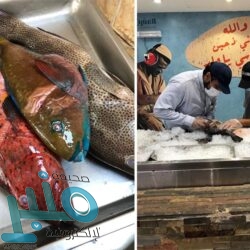 بـ 4 مواجهات .. الجولة الرابعة بدوري المحترفين تواصل منافساتها مساء اليوم