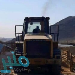 الجوف.. ضبط وافد في أثناء نقله حمولة من الحطب المحلي لغرض البيع