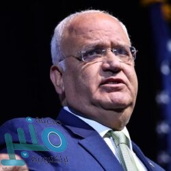 “الزكاة والدخل”: 15 نوفمبر آخر موعد لتقديم إقرارات “ضريبة السلع الانتقائية”