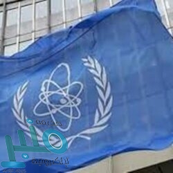 المعشي: ذكرى البيعة السادسة تحل في عام نحتفل فيه بكثير من الإنجازات