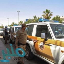 مقتل 11 مدنياً في مجزرة جديدة ارتكبتها مليشيا الحوثي بمحافظة الحديدة