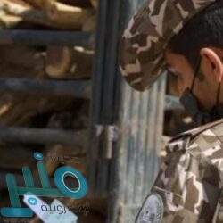 شركة طيران عالمية تشترط تلقي لقاح كورونا قبل صعود الطائرة