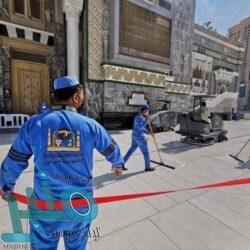 إسناد تشغيل قطار المشاعر المقدسة لشركة الخطوط الحديدية