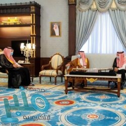 الجمارك توضح غرامة عدم احتفاظ المخلص الجمركي بالسجلات