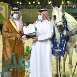 الأرصاد: رياح سطحية مثيرة للأتربة والغبار على وسط وشمال المملكة