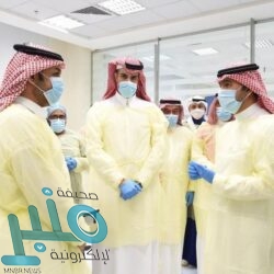 ضبط 150 كيلوجرامًا من المواد الغذائية الفاسدة في تيماء