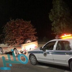 40 برنامجاً إرشادياً لدعم منصة مدرستي بتعليم عسير