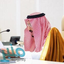 ولي العهد يترأس الجلسة الأخيرة في اليوم الثاني لقمة الرياض لقادة مجموعة العشرين