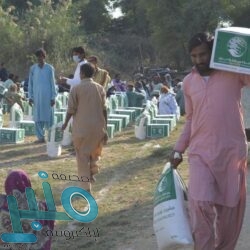 أطلال على ضفاف وادي الشغز