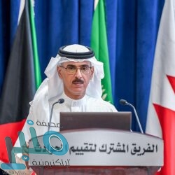 التحالف: تدمير زورق مفخخ وإحباط عمل إرهابي جنوب البحر الأحمر