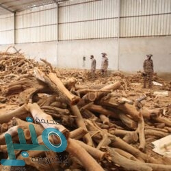 سجلها المستشفى بعداد الموتى وهي على قيد الحياة.. شقيقها: اكتشفنا الأمر بعد انقطاع الراتب التقاعدي