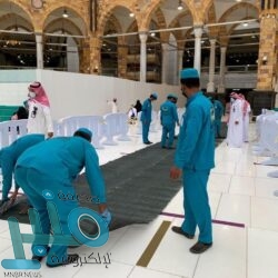 إحباط مخطط لتهريب 459 كيلوجرامًا من الحشيش المخدر و24 طنًا من القات المخدر