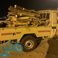 “التجارة” تستدعي 124 مركبة لوجود خلل في وحدة التحكم في الفرامل