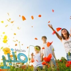 الهيئة العامة للترفيه توفر وظائف تقنية شاغرة