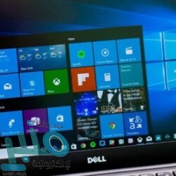 اكتشاف خصائص مضادة لسرطان الثدي في نوع من الأعشاب