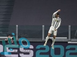 بلدية بارق تحسّن المسطحات الخضراء وتواصل معالجة التشوه البصري