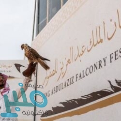 وزير الخارجية: نرفض أي محاولة لربط الإسلام بالإرهاب