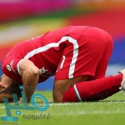 شركة تبوك للتنمية الزراعية توفر وظائف لحملة الثانوية فما فوق بالرياض والدمام