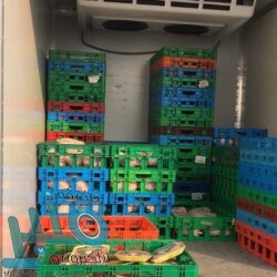 إعلان أسماء المقبولين في برنامج ماجستير إدارة الخدمات والمرافق الصحية بـ “جامعة بيشة “