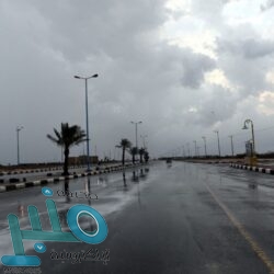 الإطاحة بشخصين سرقا 21 ألف ريال من سيارات بعد تحطيم نوافذها