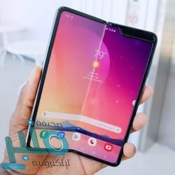 فاكهة تعزز المناعة ووسيلة فعالة للوقاية من الفيروسات