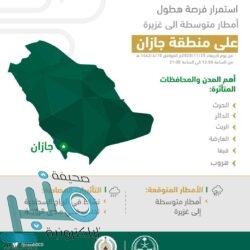 المملكة تفوز بـ6 جوائز مؤسسية وفردية في التميز الحكومي العربي