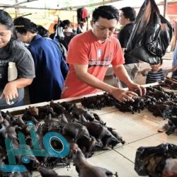 “الأرصاد” تنبه من تقلبات جوية على منطقة الباحة