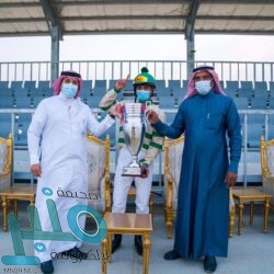 “البيئة” تنفذ حملة موسعة على مواقع بيع الحطب المحلي في 4 مناطق