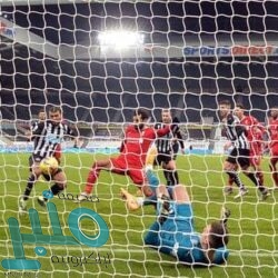 5 أكواب من الشاي يوميا.. دراسة تكشف “المفعول السحري”