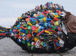 رايولا يعلق على أنباء انتقال هالاند إلى ريال مدريد