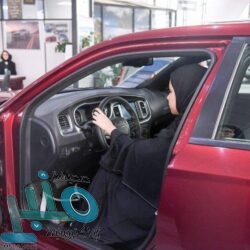 بلدية بارق تنفذ حملة رقابية على المطاعم وتغلق مطعمًا مخالفًا