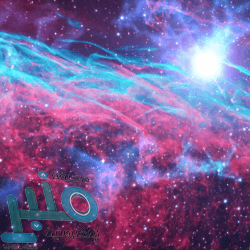 يوسف موكوكو نجم بروسيا دورتموند يدخل التاريخ بـ”هدف” في الدوري الألماني (فيديو)